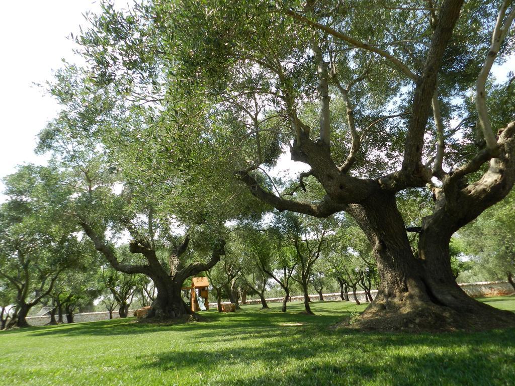 I Trulli Del Nonno Michele Guest House Alberobello Luaran gambar