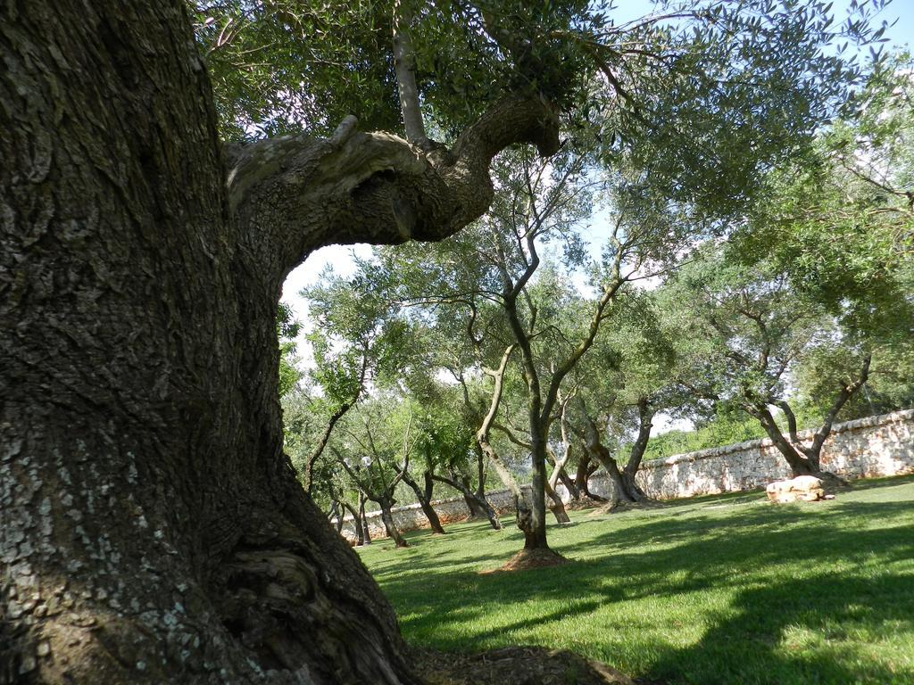I Trulli Del Nonno Michele Guest House Alberobello Luaran gambar